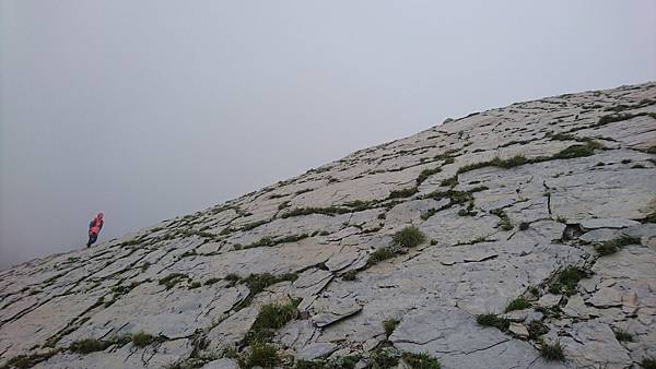 IMG_6115.JPG IMG_6115.JPG