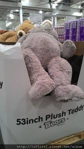 Costco 什麼都有賣的costco好市多 5 絨毛大熊53吋 Luce有用 痞客邦