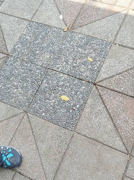 冏有一種拍照模式~只有媽媽們才知道_6 冏有一種拍照模式~只有媽媽們才知道_6