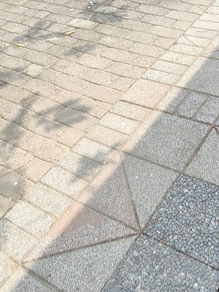 冏有一種拍照模式~只有媽媽們才知道_6 冏有一種拍照模式~只有媽媽們才知道_6