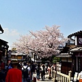 DSC_8931.JPG