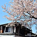 DSC_8937.JPG