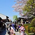 DSC_8966.JPG