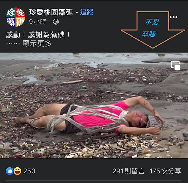 無知公投──以礁團「反三接」為代表