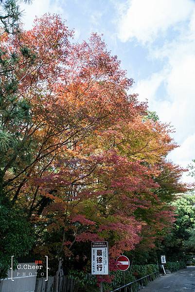 天橋立-2702.jpg