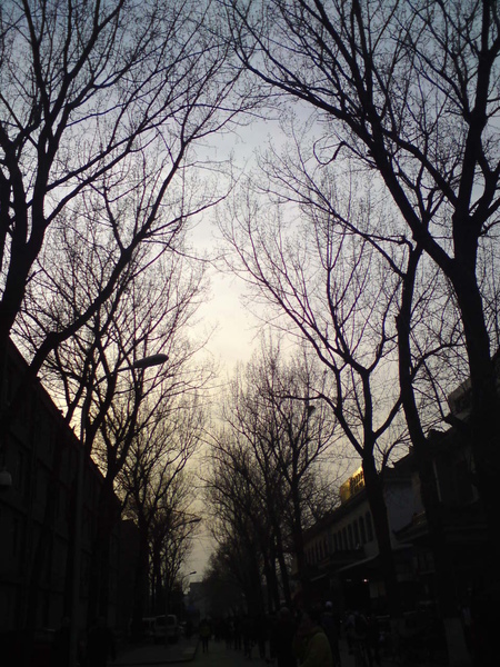 DSC00047.JPG DSC00047.JPG
