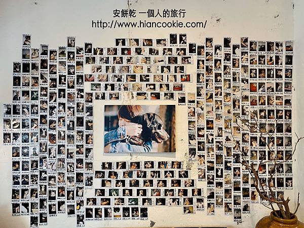 IMG_4966.JPG IMG_4966.JPG