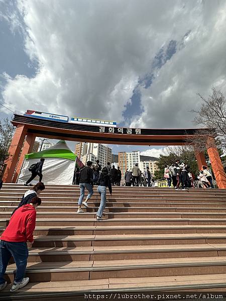 〖韓國｜釜山〗釜山春天熱門景點 鎮海 진해『軍港節』慶和火車