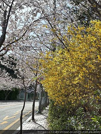 〖韓國｜釜山〗 韓國釜山必去景點 海上的最美的寺廟『海東龍宮