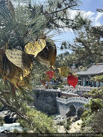 〖韓國｜釜山〗 韓國釜山必去景點 海上的最美的寺廟『海東龍宮