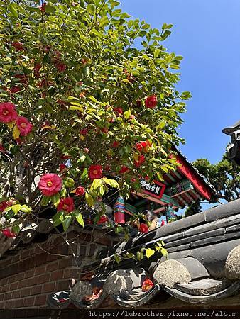 〖韓國｜釜山〗 韓國釜山必去景點 海上的最美的寺廟『海東龍宮