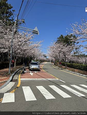 〖韓國｜釜山〗 韓國釜山必去景點 海上的最美的寺廟『海東龍宮