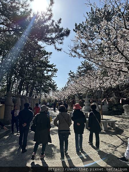 〖韓國｜釜山〗 韓國釜山必去景點 海上的最美的寺廟『海東龍宮