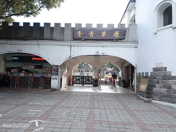 20201214～16，南投台中三天旅遊（清境農場武嶺小瑞士花園日月潭新社古堡薰衣草）_201222_4