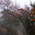 雲霧瀰漫