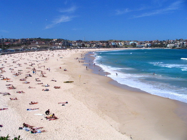 Bondi Beach