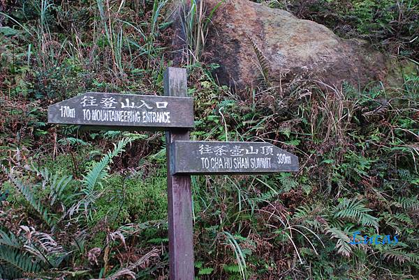 茶壺山-40.jpg