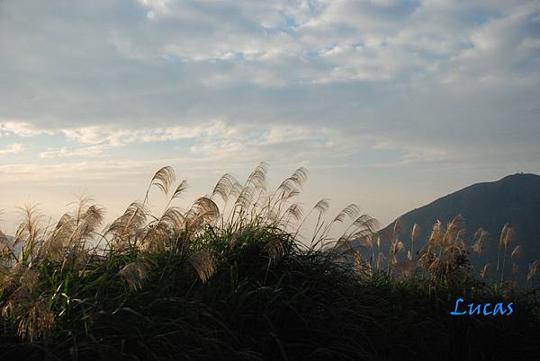 茶壺山-18.jpg