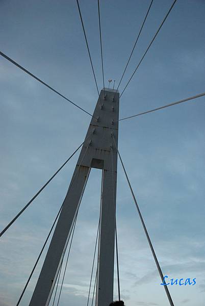 yoyo-5.jpg