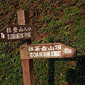 茶壺山-36.jpg