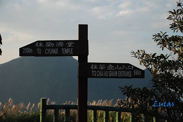 茶壺山-19.jpg