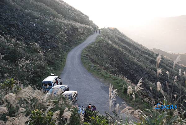 茶壺山-35.jpg