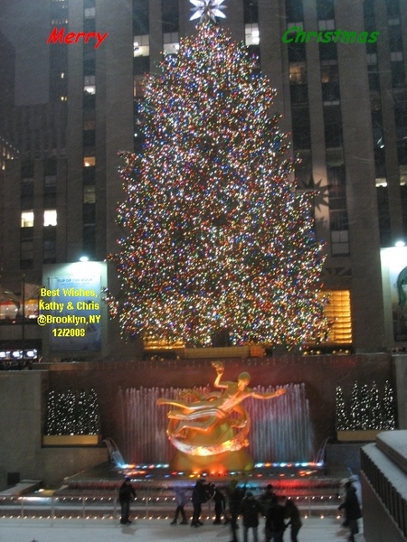 IMG_8114.jpg IMG_8114.jpg