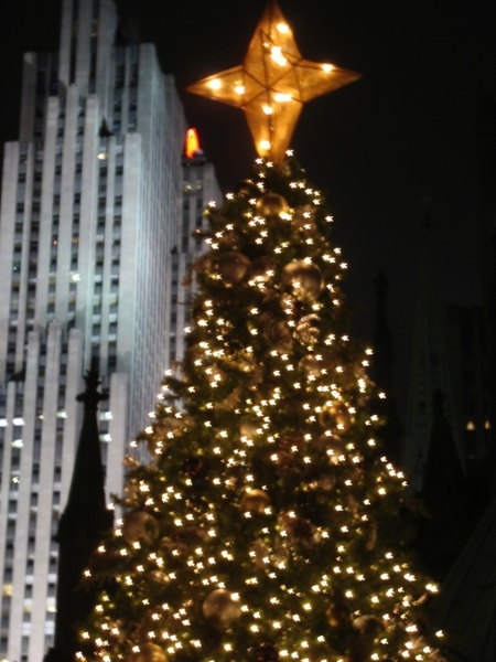 IMG_8218.jpg IMG_8218.jpg