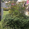 IMAG1731.jpg