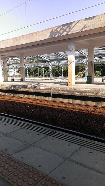 IMAG1744.jpg