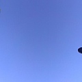 IMAG2207.jpg