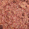 IMAG2701.jpg