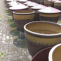 IMAG2704.jpg