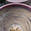 IMAG2710.jpg
