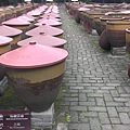 IMAG2713.jpg