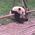 IMAG2768.jpg