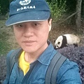 IMAG2775.jpg