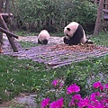 IMAG2781.jpg
