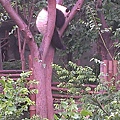IMAG2784.jpg