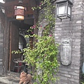 IMAG2796.jpg