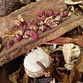 IMG20150903124737.jpg