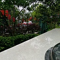1461904887242.jpg