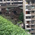 1461904894386.jpg