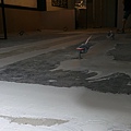 IMAG6510.jpg