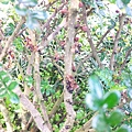 IMAG6867.jpg