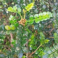 IMAG6868.jpg