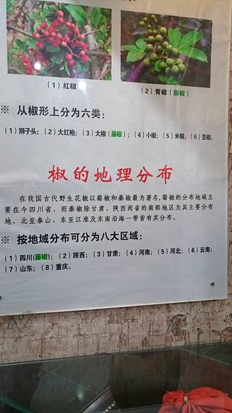IMAG7179.jpg
