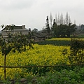 IMAG7199.jpg