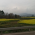 IMAG7207.jpg