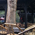 IMAG7097.jpg